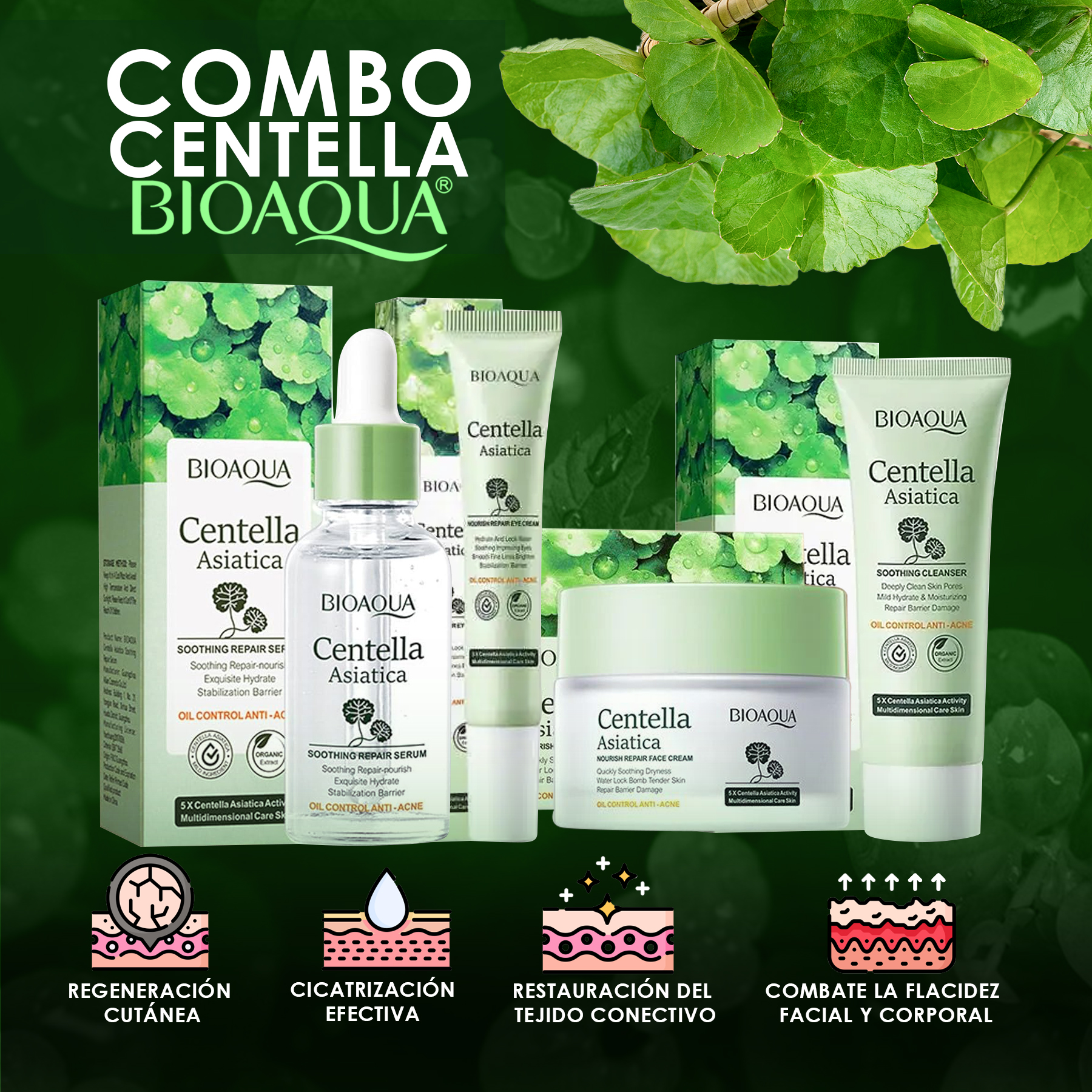 combocentella13